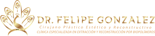 7Dr. Felipe González